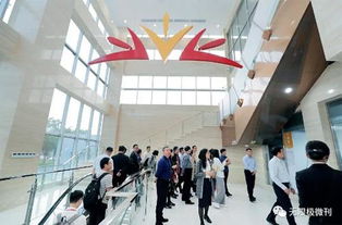 無(wú)限極參與國(guó)家食品安全關(guān)鍵技術(shù)研發(fā)項(xiàng)目的技術(shù)開(kāi)發(fā)探索